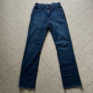 Bevy Flog Novel Jeans Size 26